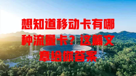 想知道移动卡有哪种流量卡？这篇文章给你答案