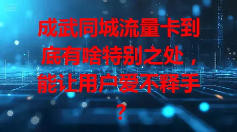成武同城流量卡到底有啥特别之处，能让用户爱不释手？