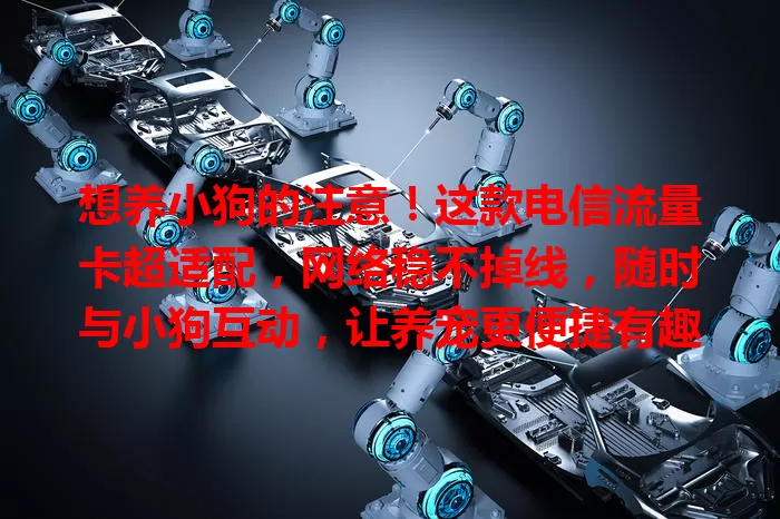 想养小狗的注意！这款电信流量卡超适配，网络稳不掉线，随时与小狗互动，让养宠更便捷有趣