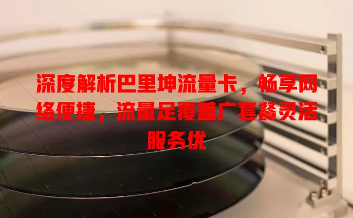 深度解析巴里坤流量卡，畅享网络便捷，流量足覆盖广套餐灵活服务优