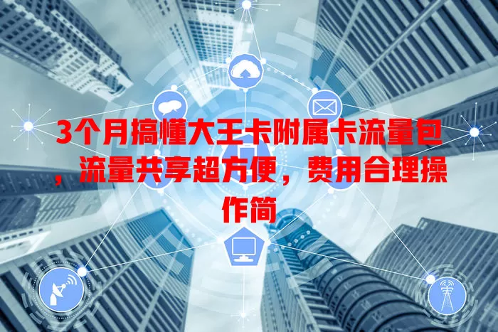 3个月搞懂大王卡附属卡流量包，流量共享超方便，费用合理操作简
