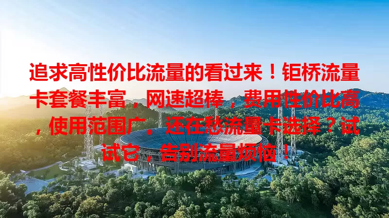 追求高性价比流量的看过来！钜桥流量卡套餐丰富，网速超棒，费用性价比高，使用范围广。还在愁流量卡选择？试试它，告别流量烦恼！
