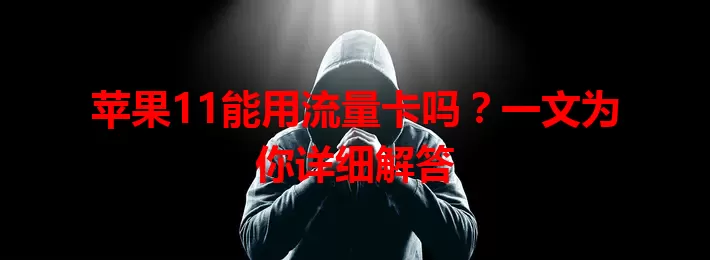 苹果11能用流量卡吗？一文为你详细解答
