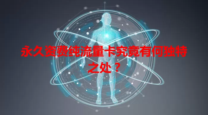 永久资费纯流量卡究竟有何独特之处？