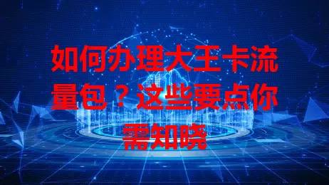 如何办理大王卡流量包？这些要点你需知晓