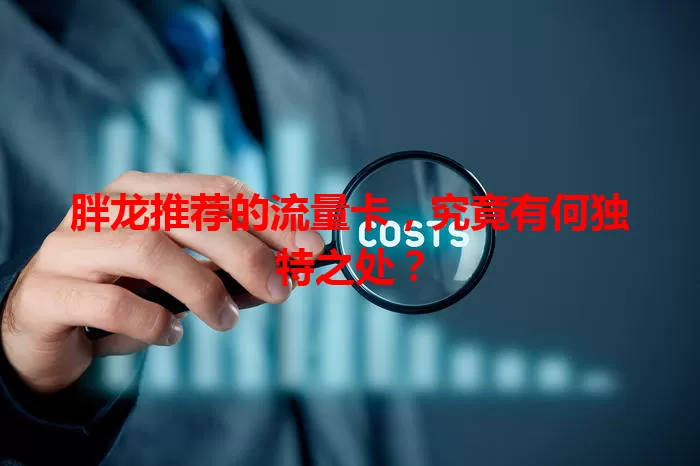 胖龙推荐的流量卡，究竟有何独特之处？