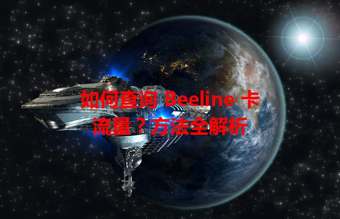 如何查询 Beeline 卡流量？方法全解析
