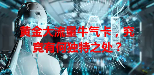 黄金大流量牛气卡，究竟有何独特之处？