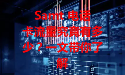 Samt 电话卡流量究竟有多少？一文带你了解