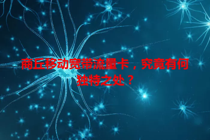 商丘移动宽带流量卡，究竟有何独特之处？