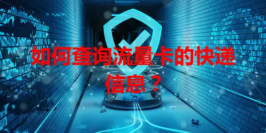 如何查询流量卡的快递信息？
