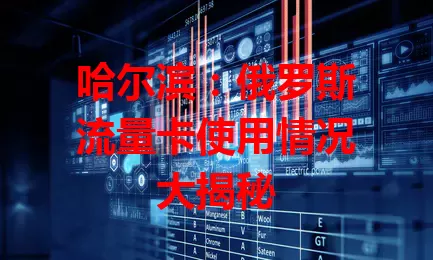 哈尔滨：俄罗斯流量卡使用情况大揭秘