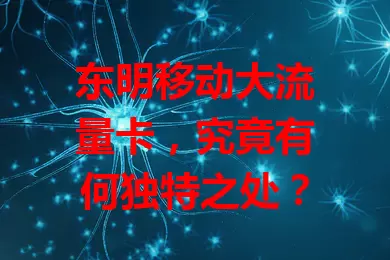 东明移动大流量卡，究竟有何独特之处？