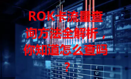 ROK卡流量查询方法全解析，你知道怎么查吗？