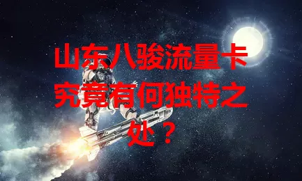 山东八骏流量卡究竟有何独特之处？