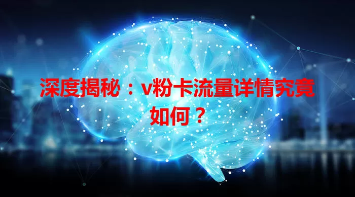 深度揭秘：v粉卡流量详情究竟如何？