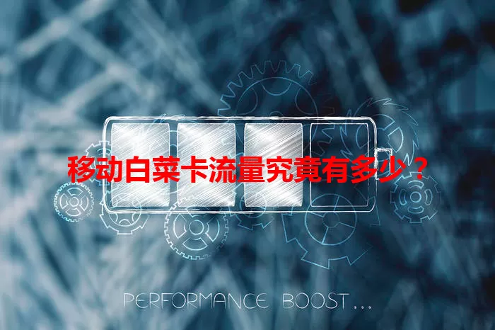 移动白菜卡流量究竟有多少？
