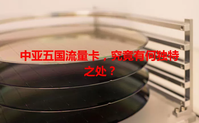 中亚五国流量卡，究竟有何独特之处？