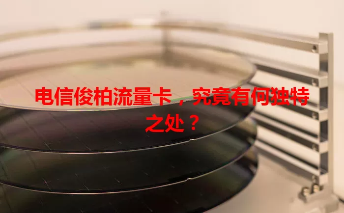 电信俊柏流量卡，究竟有何独特之处？