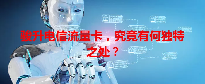 骏升电信流量卡，究竟有何独特之处？