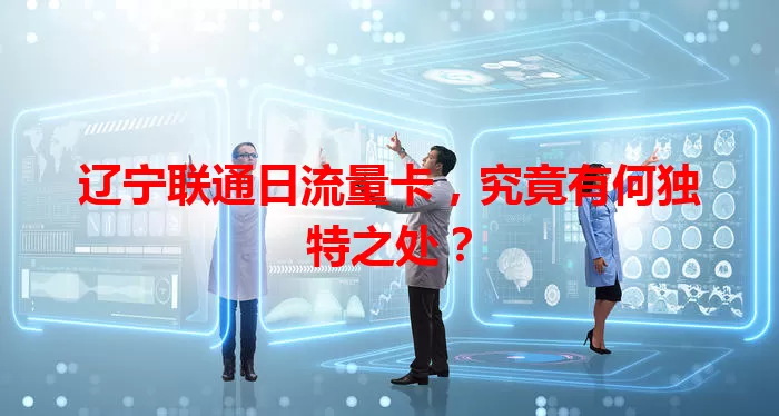 辽宁联通日流量卡，究竟有何独特之处？