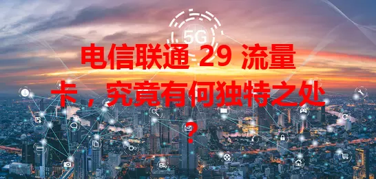 电信联通 29 流量卡，究竟有何独特之处？