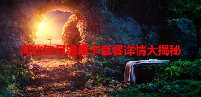 河北包月流量卡套餐详情大揭秘