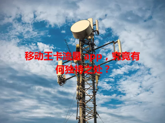移动王卡流量 app，究竟有何独特之处？