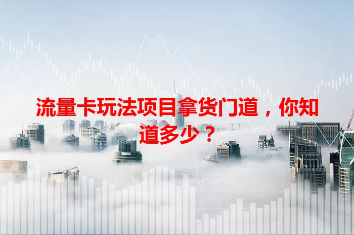 流量卡玩法项目拿货门道，你知道多少？