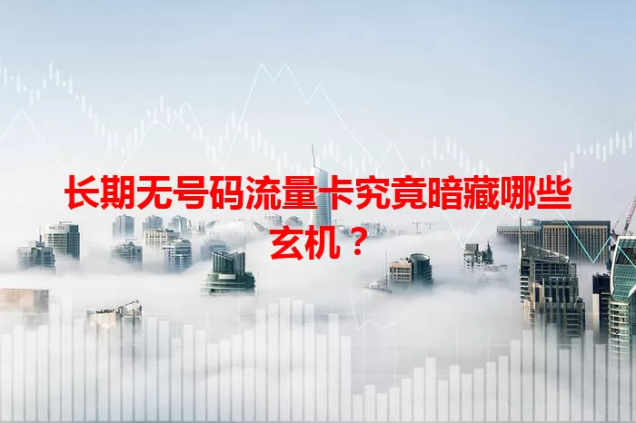 长期无号码流量卡究竟暗藏哪些玄机？