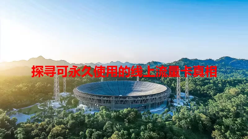 探寻可永久使用的线上流量卡真相