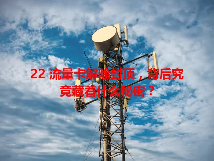 22 流量卡解除封顶，背后究竟藏着什么秘密？