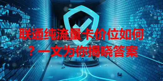 联通纯流量卡价位如何？一文为你揭晓答案