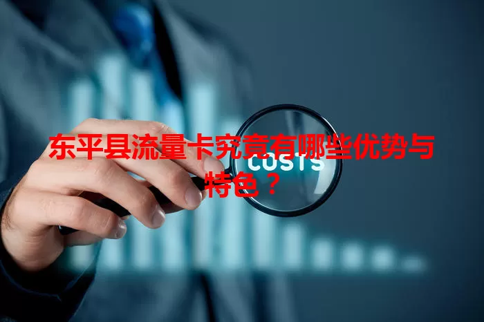 东平县流量卡究竟有哪些优势与特色？