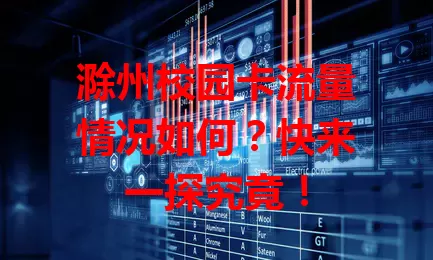 滁州校园卡流量情况如何？快来一探究竟！