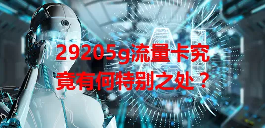 29205g流量卡究竟有何特别之处？