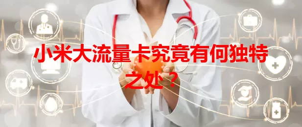 小米大流量卡究竟有何独特之处？