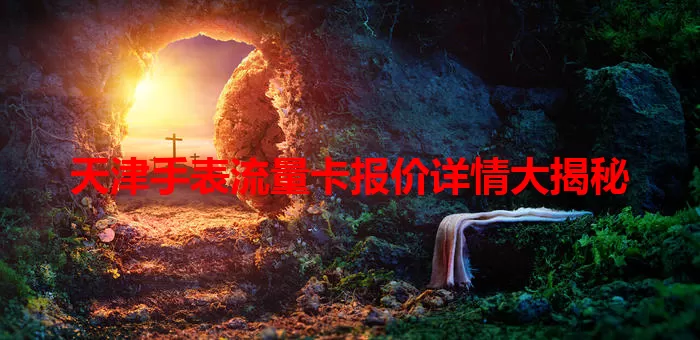 天津手表流量卡报价详情大揭秘
