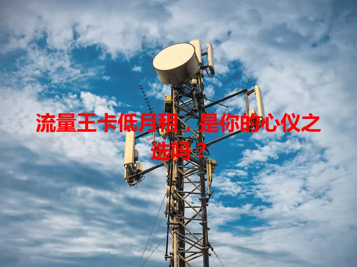 流量王卡低月租，是你的心仪之选吗？
