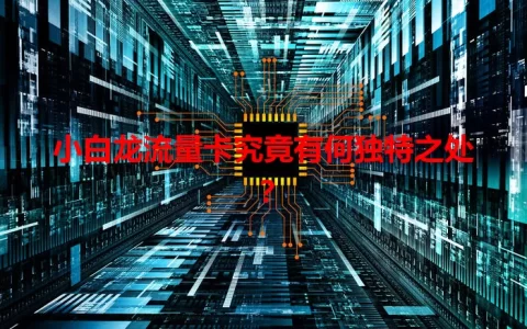 小白龙流量卡究竟有何独特之处？