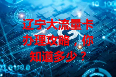 辽宁大流量卡办理攻略，你知道多少？