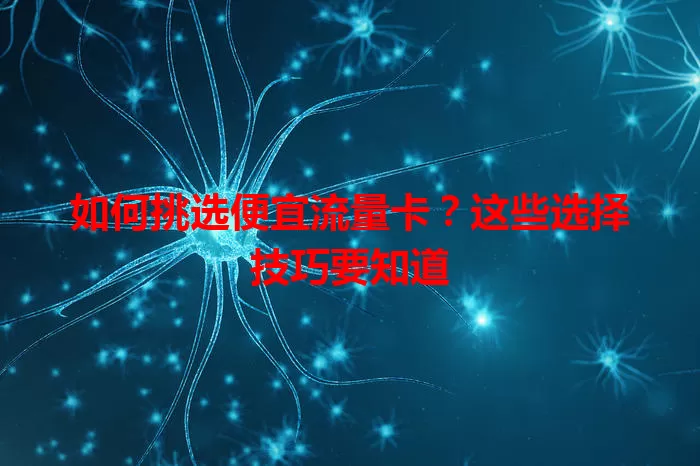 如何挑选便宜流量卡？这些选择技巧要知道