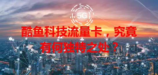 酷鱼科技流量卡，究竟有何独特之处？