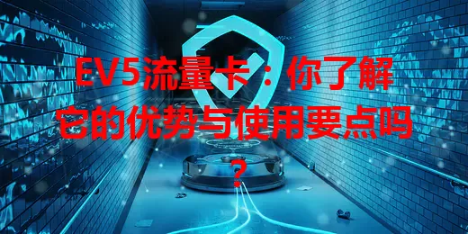 EV5流量卡：你了解它的优势与使用要点吗？