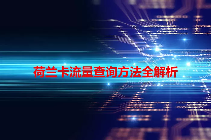 荷兰卡流量查询方法全解析