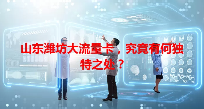 山东潍坊大流量卡，究竟有何独特之处？