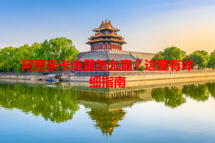 阿里亲卡流量怎么查？这里有详细指南