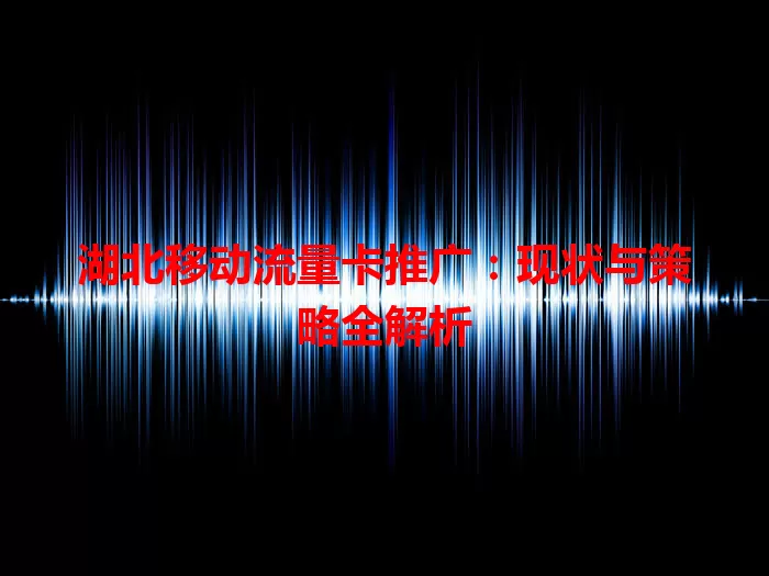 湖北移动流量卡推广：现状与策略全解析