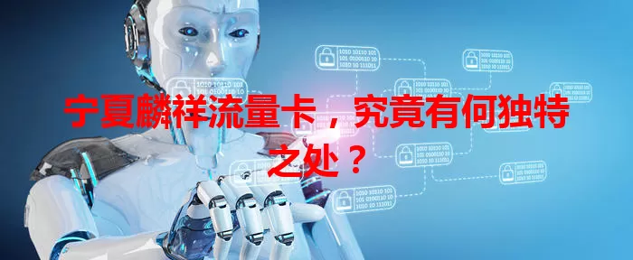 宁夏麟祥流量卡，究竟有何独特之处？