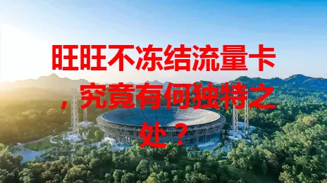 旺旺不冻结流量卡，究竟有何独特之处？